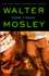 Gone Fishin': an Easy Rawlins Novel (6) (Easy Rawlins Mystery)