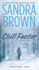 Chill Factor: a Novel
