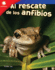 Al Rescate De Los Anfibios (Amphibian Rescue) (Spanish Version)