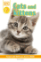 Cats and Kittens (Dk Readers, Level 2)