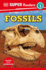 Dk Super Readers Level 3 Fossils