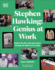 Stephen Hawking Genius at Work Roger Highfield