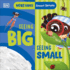 Smart Senses: Seeing Big, Seeing Small (Woke Babies Books)