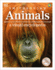 Animals: A Visual Encyclopedia of the Animal Kingdom