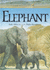 Elephant (Animals at Risk)