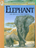 Elephant (Animals at Risk)