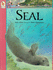 Seal (Animals at Risk)