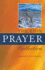 The Lion Prayer Collection (Lion Collection)
