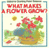 What Makes a Flower Grow? (Usborne Starting Point Science)