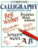 Calligraphy From Beginner to Expert ( an Usborne Guide )