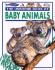 Baby Animals (Young Nature Series)