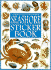Seashore Sticker Book (Spotter's Guide Sticker Books Series)