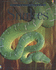 Snakes (Internet-Linked "Discovery" Programme)
