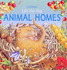 Animal Homes (Lift-the-Flap)