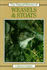 Natural History of Weasels and Stoats (Natural History of Mammals Series)