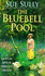 The Bluebell Pool