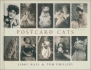 Postcard Cats