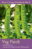 Veg Patch: River Cottage Handbook No.4