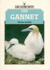 The Gannet (Shire Natural History)