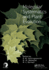 Molecular Systematic and Plant Evolution