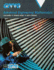 Gnvq Advanced Engineering Mathematics (Stanley Thornes Gnvq)
