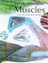 Under the Microscope: Muscles (Under the Microscope)