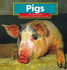 Pigs (Early Reader Science)