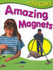 Amazing Magnets (First Science)