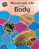Microscopic Life in Your Body (Micro-World)