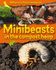 Minibeasts on a Compost Heap (Where to Find Minibeasts)