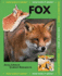Fox (Busy Baby Animals)