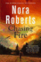 Chasing Fire