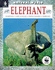 Elephant: Habitats, Life Cycles, Food Chains, Threats (Natural World)