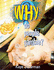 Why Do People Gamble? (Why Books)
