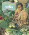 India (Food & Festivals)
