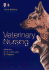 Veterinary Nursing