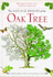 The Natural History of the Oak Tree / Richard Lewington & David Streeter