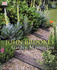Garden Masterclass