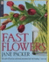 Fast Flowers (Dk Living)
