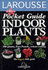 Indoor Plants