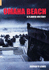 Omaha Beach: a Flawed Victory