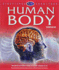The Human Body
