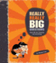 Really Really Big Questions By Law, Stephen ( Author ) on Oct-05-2009, Hardback