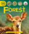Life Cycles: Forest