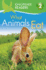What Animals Eat