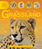 Life Cycles: Grassland