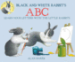 Black and White Rabbits Abc (Little Rabbits)