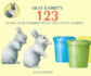 Gray Rabbits 123 (Little Rabbit Books)