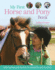 My First Horse and Pony Book Format: Paperback
