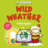 Basher Science: Wild Weather: a Hot Topic! : It's Really Wild!
